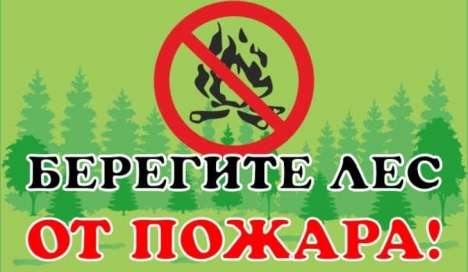Берегите лес от пожаров